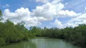 ৩ মাসে সুন্দরবনে ১৪৮ মামলা, আটক ৬৭