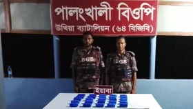উখিয়া সীমান্তে ৫০ হাজার ইয়াবা উদ্ধার