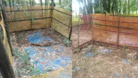 ঠাকুরগাঁওয়ে কবরস্থান থেকে ৫ কঙ্কাল চুরি