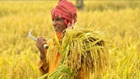 ১৪ লাখ কৃষকের কৃষিঋণ মওকুফ