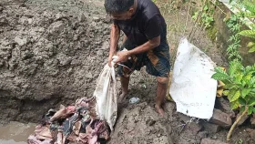 কয়রায় ১৪৫ কেজি হরিণের মাংস মাটিতে পুঁতে বিনষ্ট