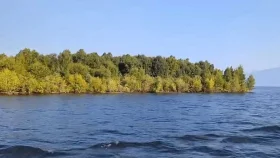 কানাডার হ্রদে ভেসে উঠলো রহস্যময় দ্বীপ