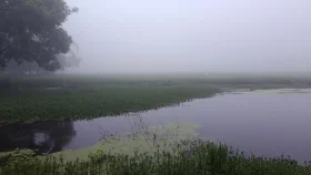 পঞ্চগড়ে হঠাৎ ঘন কুয়াশা, যান চলাচলে ধীরগতি