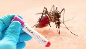 ডেঙ্গুতে আরও ৬ জনের মৃত্যু, হাসপাতালে ভর্তি ১৪৯২