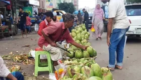 ডেঙ্গু জ্বরের তাপ এখন ডাবের বাজারে