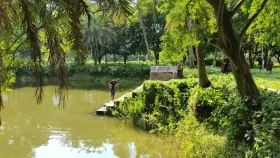সাতক্ষীরায় পুকুরে ডুবে দুই শিশুর মৃত্যু