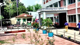 কুষ্টিয়ায় জমি নিয়ে বিরোধে ভাইয়ের হাতে ভাই খুন