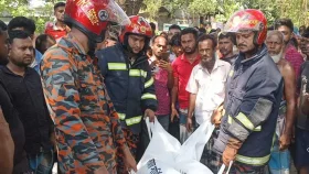 ত্রিশালে ট্রাক-অটোরিকশার সংঘর্ষে নিহত ২