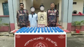 উখিয়া সীমান্তে এক লাখ ৪০ হাজার ইয়াবাসহ দুইজন আটক