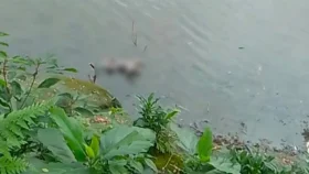 নরসুন্দা নদী থেকে নবজাতকের মরদেহ উদ্ধার