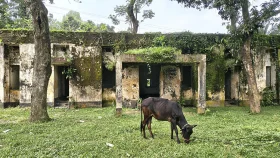 সিংড়ায় ভবন সংকটে ব্যাহত স্বাস্থ্য সেবা