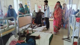 কাপাসিয়ায় বাড়ছে ডেঙ্গু আক্রান্তের সংখ্যা, ৭ দিনে শনাক্ত ৭৪