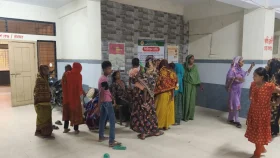 শৈলকুপায় সাপের কামড়ে প্রাণ গেলো শিশুর