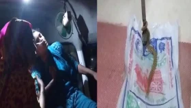 মেয়েকে সাপে কামড়, জীবন্ত সাপ নিয়ে হাসপাতালে বাবা