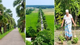 ৩০ বছর ধরে বৃক্ষরোপন করে যাচ্ছেন বৃক্ষপ্রেমী বাবুল