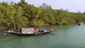মজনু বাহিনীর হাতে সুন্দরবনে ৪ জেলে অপহরণ