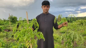 ৩ হাজার সজনে চারা কেটে ফেলার অভিযোগ
