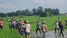 বিজয়নগরে দুই পক্ষের দফায় দফায় সংঘর্ষ, আহত ২০