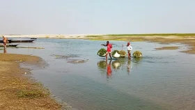 নদী হারাচ্ছে বাংলাদেশ: নাব্যতা কমছে, দূষণে মরছে প্রাণ