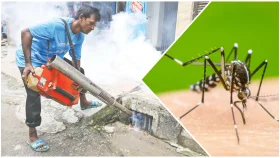 কীটনাশকেও কমছে না ডেঙ্গু, ব্যবস্থাপনা ও চিকিৎসায় দেরি নিয়ে উদ্বেগ