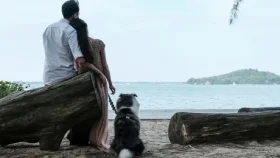 জীবনসঙ্গী খুঁজতে সিঙ্গাপুর সরকারের নতুন উদ্যোগ