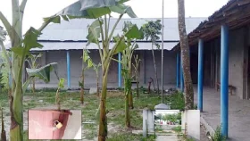 ছেলে-পুত্রবধূকে চাকরি না দেওয়ায় স্কুলের মাঠে কলাগাছ লাগিয়ে ফটকে বেড়া দিয়েছেন দাতা সদস্য
