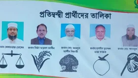 ঠাকুরগাঁও-১ উপনির্বাচন: প্রতীক পেলেন ৫ প্রার্থী