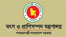 মৎস্য ও প্রাণিসম্পদের উৎপাদন বাড়াতে কার্যকর ব্যবস্থা নেয়ার নির্দেশ