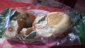 সন্ধানী খুব চালাক; 'সে নিজেই রুটির ভেতরে ব্লেড ভরে এমন কথা বলতে পারে'