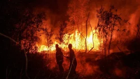 ইন্দোনেশিয়ায় ভয়াবহ দাবানলে নিহত ৪