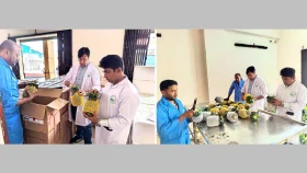 পাকিস্তানে মধুপুরের আনারস: প্রথম চালানে ২ টন, চাহিদা আরও ৪২ টনের