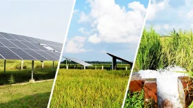 সরকারি উদ্যোগে সৌরশক্তিচালিত সেচ ব্যবস্থায় বদলাচ্ছে কৃষি খাত