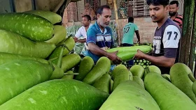 ১ টাকায় মিলছে ৪ লাউ!