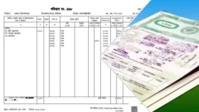 খতিয়ানে জমির দাগ নম্বর নেই? কোথায় যাবেন, কীভাবে সংশোধন করবেন