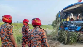 মাওয়া এক্সপ্রেসওয়েতে বাস খাদে পড়ে নিহত ৩, আহত ১৬