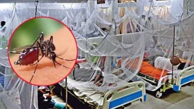 ২৪ ঘণ্টায় ডেঙ্গুতে মৃত্যু ৬, হাসপাতালে ভর্তি ১৯০০