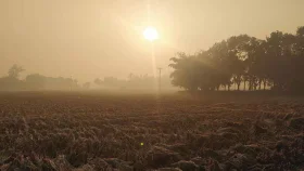 পঞ্চগড়ে তাপমাত্রা কমে শীতের অনুভূতি বাড়ছে