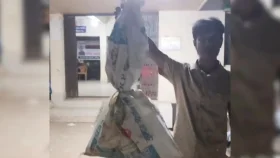 কামড় খেয়ে জ্যান্ত সাপ নিয়ে হাসপাতালে হাজির কাদের