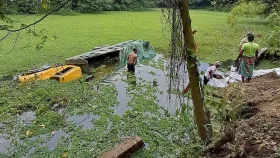 নিয়ন্ত্রণ হারিয়ে খাদে ট্রাক, পানিতে গলে গেল ৩০০ বস্তা সার