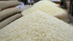 ভিজিডি কার্ডের চাল আত্মসাতের অভিযোগ