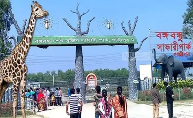 বঙ্গবন্ধু সাফারি পার্ক। ছবি: সংগৃহীত