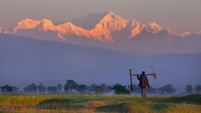 মোস্তফা সবুজ