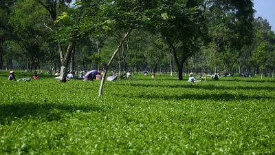 মোস্তফা সবুজ