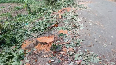 সড়কের পাশে পড়ে থাকা গাছের গোড়া। ছবি: খবর সংযোগ 
