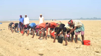 পদ্মার চর