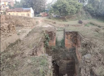 তেলাহারা বিশ্ববিদ্যালয়